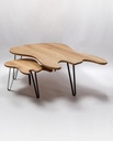 Ruwdesign-bass-guitar-table-J-Bass-Coffee-table-set-web.jpg