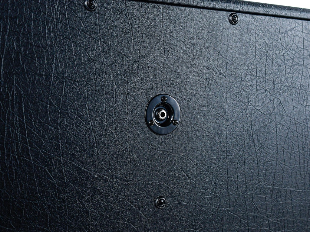 Bad Cat 2x12 Extension Cabinet Closed Back-7.jpg