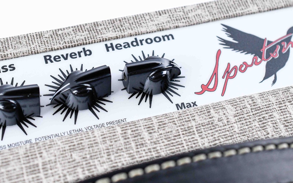 Carr Amps Sportsman Slub 1x12 Combo-10.jpg