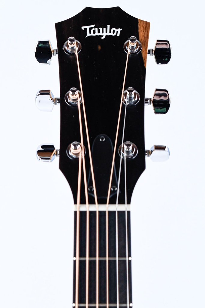 Taylor 214ce-4.jpg