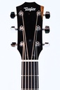 Taylor 214ce-4.jpg