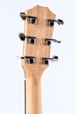 Taylor 214ce-5.jpg