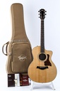 Taylor 214ce-1.jpg