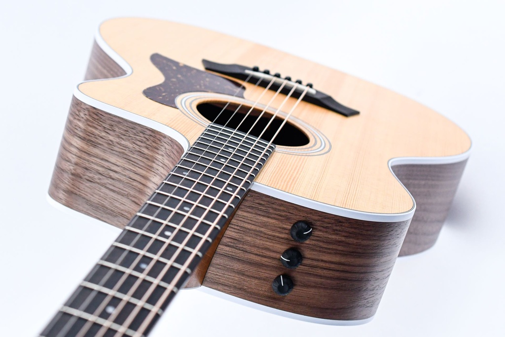Taylor 214ce-8.jpg
