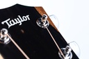 Taylor 214ce-14.jpg