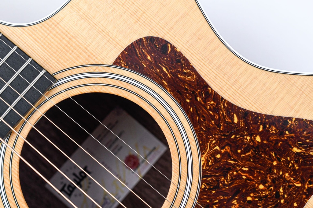 Taylor 214ce-11.jpg