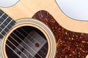 Taylor 214ce-11.jpg