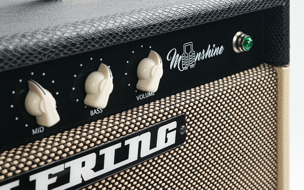 Elfring Moonshine 1x12 Combo-6.jpg