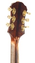 Epiphone Zephyr Emperor Regent 18.5 Inch Archtop Sunburst 1953-5.jpg