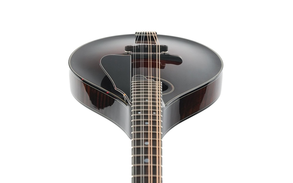 Northfield NFMSP A4 Special Alpine Spruce Icelandic Brown-13.jpg