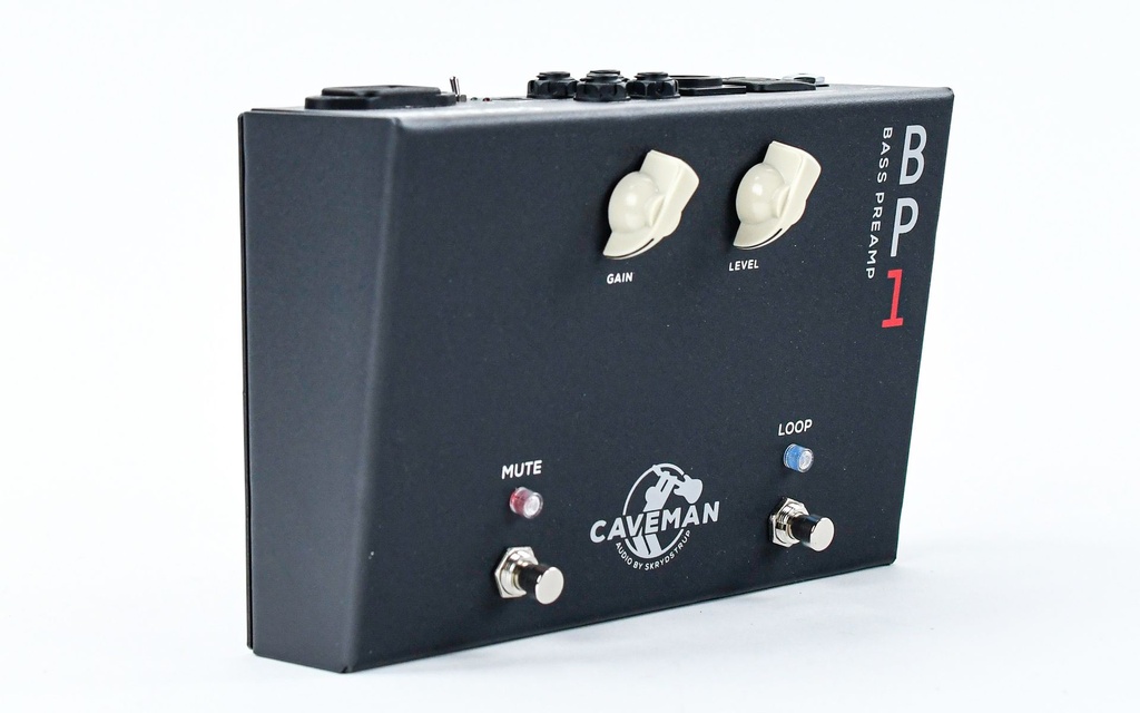Caveman BP1 Bass Preamp-4.jpg