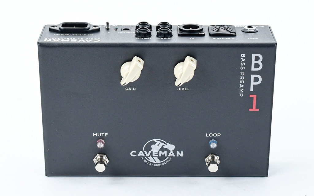 Caveman BP1 Bass Preamp-3.jpg