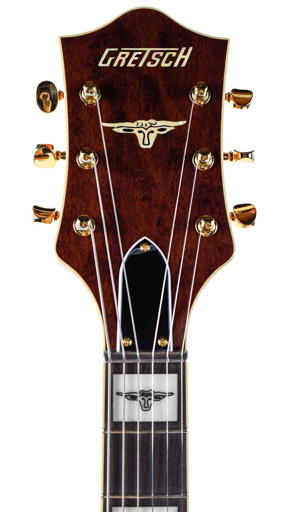 Gretsch G6120T55 Vintage Select '55 Chet Atkins Hollowbody-4.jpg