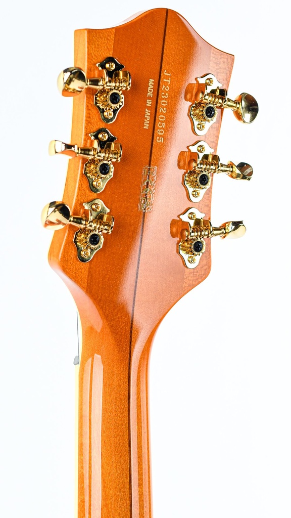Gretsch G6120T55 Vintage Select '55 Chet Atkins Hollowbody-5.jpg