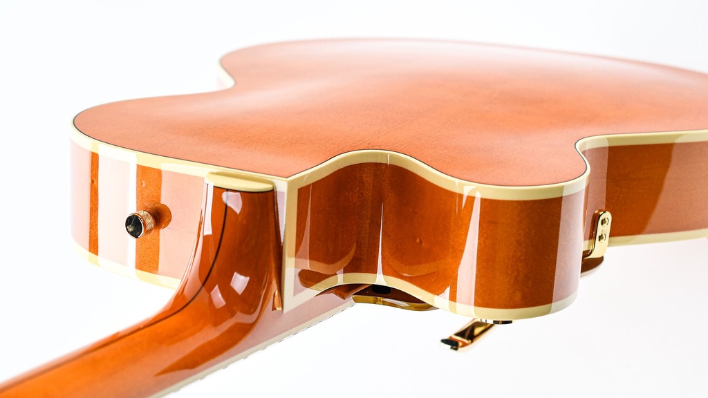 Gretsch G6120T55 Vintage Select '55 Chet Atkins Hollowbody-9.jpg