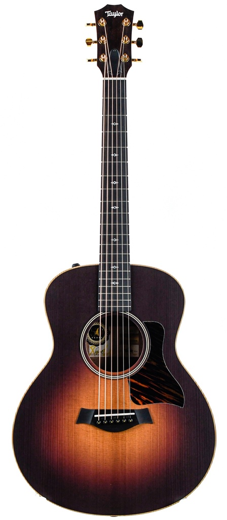 Taylor GS Mini Mahagony mit Pickup hotsell