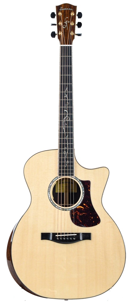 Eastman ac822ce deals